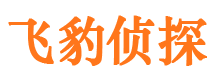 万荣市调查公司